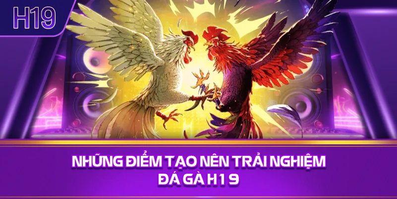 Những Điểm Tạo Nên Trải Nghiệm Đá Gà H19